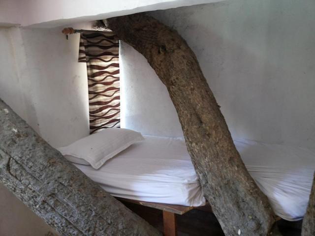 Junglee Resort Rajaji National Park Рішикеш Номер фото