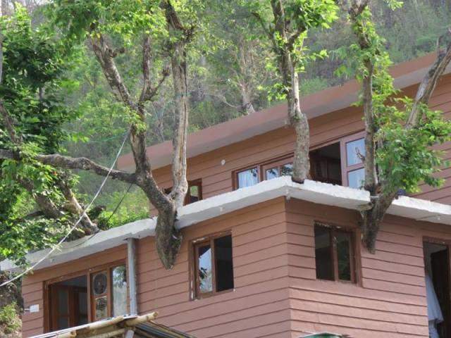 Junglee Resort Rajaji National Park Рішикеш Номер фото